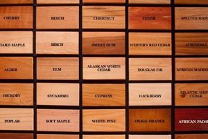 Best Wood Species for Woodworking Projects: A Guide Step-by-Step Guides, Tools & Inspiration to Build Beautiful Wooden Decor on a Budget Best Wood Species for Woodworking Projects: A Guide | Step-by-Step Guides, Tools & Inspiration to Build Beautiful Wooden Decor on a Budget