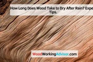 Wood Drying: How Long Does Wood Take to Dry for Woodworking? Tips & Guide Step-by-Step Guides, Tools & Inspiration to Build Beautiful Wooden Decor on a Budget Wood Drying: How Long Does Wood Take to Dry for Woodworking? Tips & Guide | Step-by-Step Guides, Tools & Inspiration to Build Beautiful Wooden Decor on a Budget