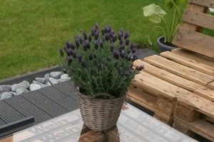 Easy Pallet Woodworking Ideas + DIY Projects! Step-by-Step Guides, Tools & Inspiration to Build Beautiful Wooden Decor on a Budget Easy Pallet Woodworking Ideas + DIY Projects! | Step-by-Step Guides, Tools & Inspiration to Build Beautiful Wooden Decor on a Budget