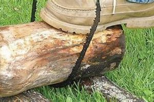 Essential Amish Woodworking Tools: Craftsmanship Step-by-Step Guides, Tools & Inspiration to Build Beautiful Wooden Decor on a Budget Essential Amish Woodworking Tools: Craftsmanship | Step-by-Step Guides, Tools & Inspiration to Build Beautiful Wooden Decor on a Budget