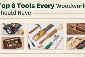 Essential: What Tools Should Every Woodworker Have? Guide Step-by-Step Guides, Tools & Inspiration to Build Beautiful Wooden Decor on a Budget Essential: What Tools Should Every Woodworker Have? Guide | Step-by-Step Guides, Tools & Inspiration to Build Beautiful Wooden Decor on a Budget