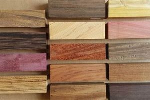 Find Exotic Wood: Where to Buy Wood for Woodworking Projects | Step-by-Step Guides, Tools & Inspiration to Build Beautiful Wooden Decor on a Budget