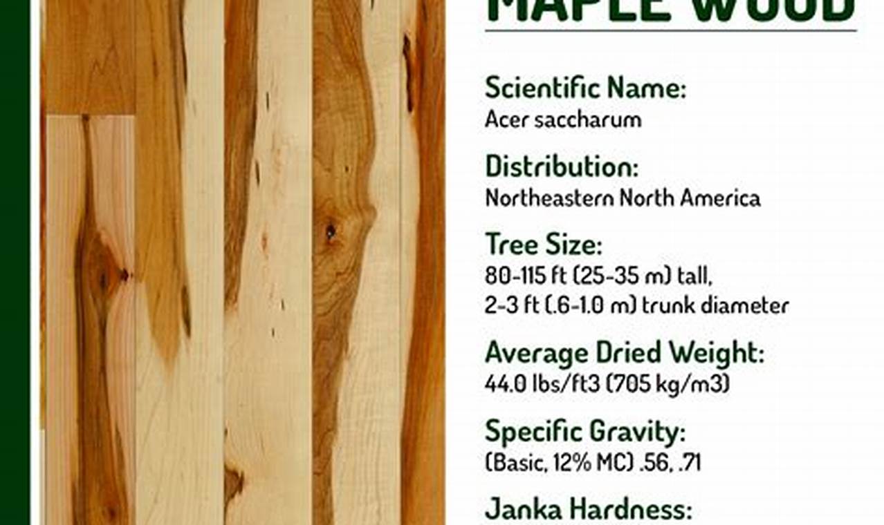 Best Places: Where to Buy Maple Wood for Woodworking + Tips Step-by-Step Guides, Tools & Inspiration to Build Beautiful Wooden Decor on a Budget Best Places: Where to Buy Maple Wood for Woodworking + Tips | Step-by-Step Guides, Tools & Inspiration to Build Beautiful Wooden Decor on a Budget