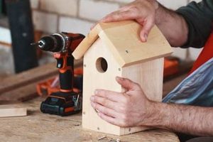 Simple & Safe: Easy Woodworking Projects for Seniors Step-by-Step Guides, Tools & Inspiration to Build Beautiful Wooden Decor on a Budget Simple & Safe: Easy Woodworking Projects for Seniors | Step-by-Step Guides, Tools & Inspiration to Build Beautiful Wooden Decor on a Budget