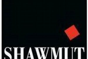 Your [Local] Shawmut Woodworking & Supply Source | Step-by-Step Guides, Tools & Inspiration to Build Beautiful Wooden Decor on a Budget