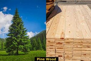 Best Pine Wood for Woodworking: Guide & Tips Step-by-Step Guides, Tools & Inspiration to Build Beautiful Wooden Decor on a Budget Best Pine Wood for Woodworking: Guide & Tips | Step-by-Step Guides, Tools & Inspiration to Build Beautiful Wooden Decor on a Budget