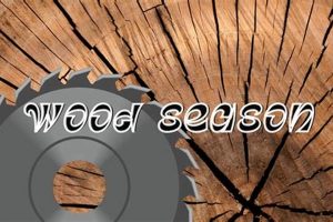 Guide: How to Season Wood for Woodworking - Tips & Tricks | Step-by-Step Guides, Tools & Inspiration to Build Beautiful Wooden Decor on a Budget