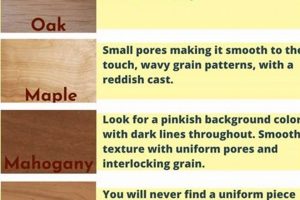 Woodworking: Choosing Types of Wood for Your Project! | Step-by-Step Guides, Tools & Inspiration to Build Beautiful Wooden Decor on a Budget