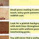 Woodworking: Choosing Types of Wood for Your Project! | Step-by-Step Guides, Tools & Inspiration to Build Beautiful Wooden Decor on a Budget