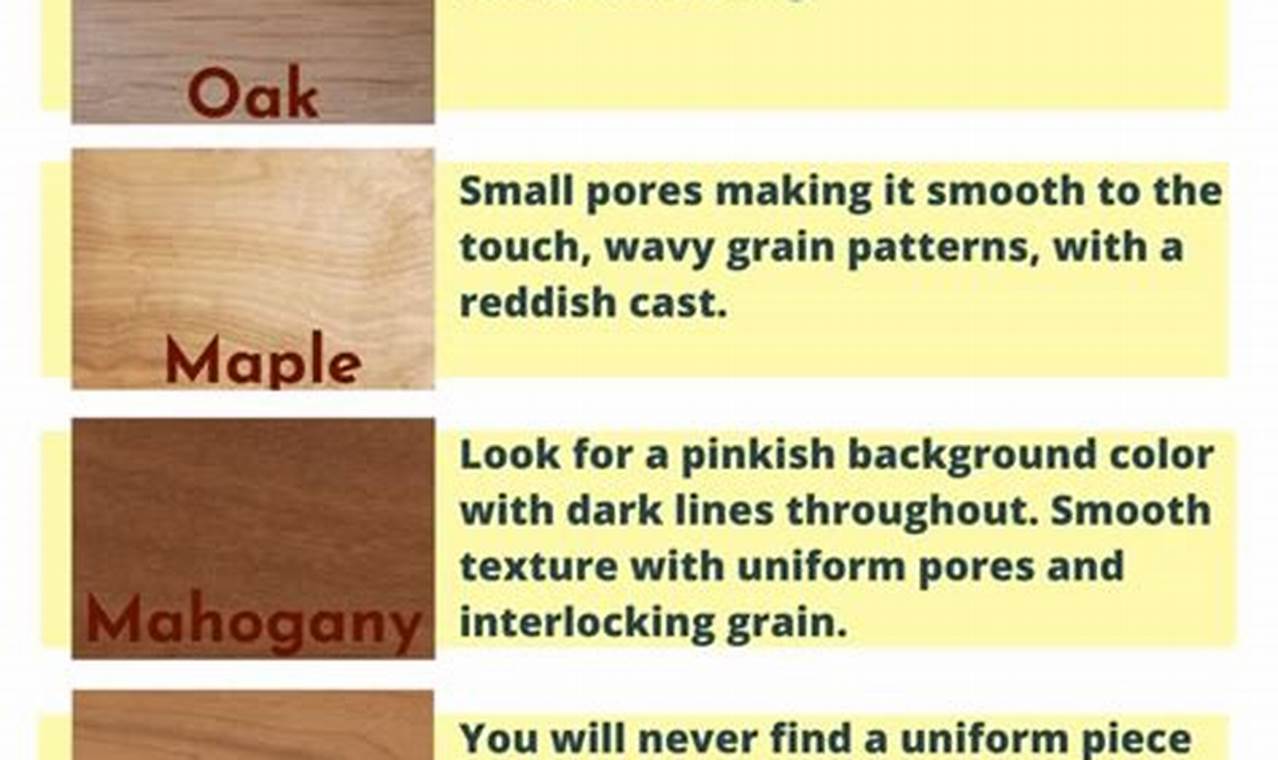 Woodworking: Choosing Types of Wood for Your Project! Step-by-Step Guides, Tools & Inspiration to Build Beautiful Wooden Decor on a Budget Woodworking: Choosing Types of Wood for Your Project! | Step-by-Step Guides, Tools & Inspiration to Build Beautiful Wooden Decor on a Budget