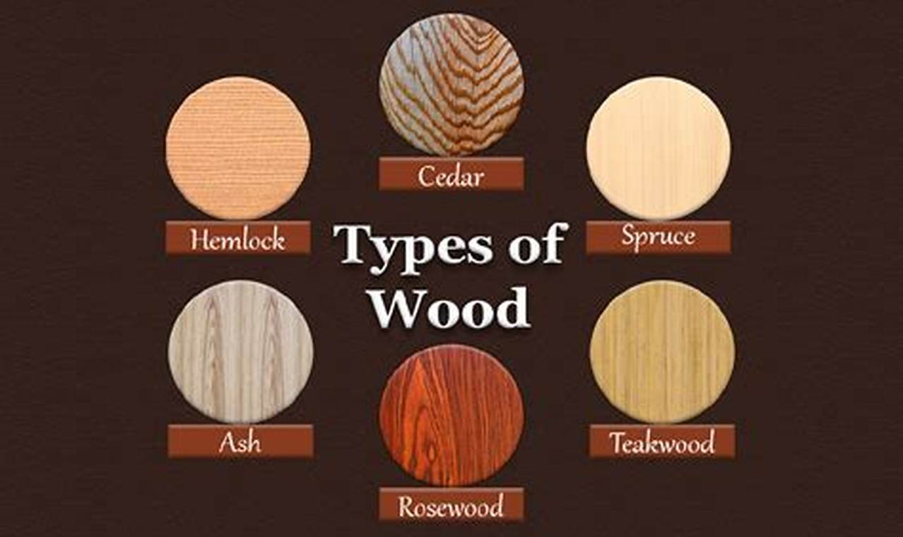 Woodworking Wonders: Types of Wood for Your Projects Step-by-Step Guides, Tools & Inspiration to Build Beautiful Wooden Decor on a Budget Woodworking Wonders: Types of Wood for Your Projects | Step-by-Step Guides, Tools & Inspiration to Build Beautiful Wooden Decor on a Budget