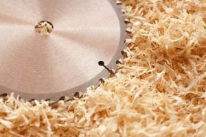 Your Guide to the Best Woodworking Store Portland, OR Step-by-Step Guides, Tools & Inspiration to Build Beautiful Wooden Decor on a Budget Your Guide to the Best Woodworking Store Portland, OR | Step-by-Step Guides, Tools & Inspiration to Build Beautiful Wooden Decor on a Budget