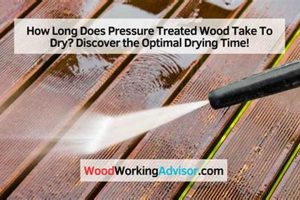 Wood Drying: How Long Does it Take for Woodworking Use? | Step-by-Step Guides, Tools & Inspiration to Build Beautiful Wooden Decor on a Budget
