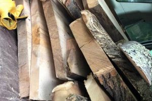 Top Choices: Best Woods for Woodworking Projects + Tips Step-by-Step Guides, Tools & Inspiration to Build Beautiful Wooden Decor on a Budget Top Choices: Best Woods for Woodworking Projects + Tips | Step-by-Step Guides, Tools & Inspiration to Build Beautiful Wooden Decor on a Budget