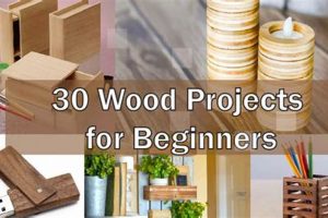 Easy DIY Woodworking for Beginners: Start Building! Step-by-Step Guides, Tools & Inspiration to Build Beautiful Wooden Decor on a Budget Easy DIY Woodworking for Beginners: Start Building! | Step-by-Step Guides, Tools & Inspiration to Build Beautiful Wooden Decor on a Budget