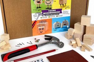 Inspire: Young Woodworkers Project Kit Fun! Step-by-Step Guides, Tools & Inspiration to Build Beautiful Wooden Decor on a Budget Inspire: Young Woodworkers Project Kit Fun! | Step-by-Step Guides, Tools & Inspiration to Build Beautiful Wooden Decor on a Budget