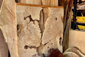 Your Guide to Woodworks Supply: Tools & Materials Step-by-Step Guides, Tools & Inspiration to Build Beautiful Wooden Decor on a Budget Your Guide to Woodworks Supply: Tools & Materials | Step-by-Step Guides, Tools & Inspiration to Build Beautiful Wooden Decor on a Budget