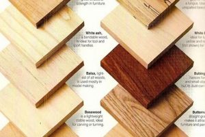 Best Wood Types for Woodworking: A Project Guide! Step-by-Step Guides, Tools & Inspiration to Build Beautiful Wooden Decor on a Budget Best Wood Types for Woodworking: A Project Guide! | Step-by-Step Guides, Tools & Inspiration to Build Beautiful Wooden Decor on a Budget