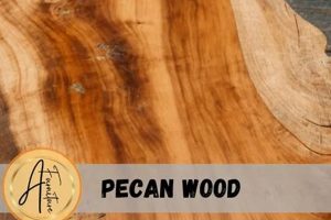 The Woodworker's Guide: Is Pecan Wood Good for Woodworking? Step-by-Step Guides, Tools & Inspiration to Build Beautiful Wooden Decor on a Budget The Woodworker's Guide: Is Pecan Wood Good for Woodworking? | Step-by-Step Guides, Tools & Inspiration to Build Beautiful Wooden Decor on a Budget
