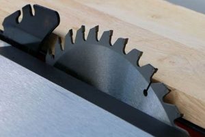 Top-Rated: Best Table Saw Blades for Woodworking Projects Guide | Step-by-Step Guides, Tools & Inspiration to Build Beautiful Wooden Decor on a Budget
