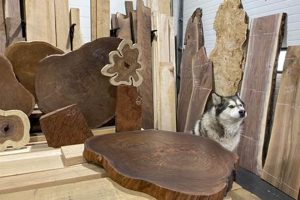 Your Local Calgary Woodworking Store: Supplies & More! Step-by-Step Guides, Tools & Inspiration to Build Beautiful Wooden Decor on a Budget Your Local Calgary Woodworking Store: Supplies & More! | Step-by-Step Guides, Tools & Inspiration to Build Beautiful Wooden Decor on a Budget