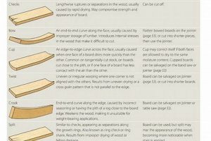 The Ultimate Woodworker's Guide to Wood Projects! | Step-by-Step Guides, Tools & Inspiration to Build Beautiful Wooden Decor on a Budget