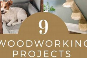 DIY Cat Woodworking Projects: Plans & Fun! | Step-by-Step Guides, Tools & Inspiration to Build Beautiful Wooden Decor on a Budget