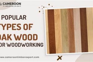 Woodworking Where To Buy Wood Near Me - Guide | Step-by-Step Guides, Tools & Inspiration to Build Beautiful Wooden Decor on a Budget