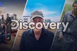 Watch Woodworking Shows on Discovery Plus | DIY Crafts | Step-by-Step Guides, Tools & Inspiration to Build Beautiful Wooden Decor on a Budget