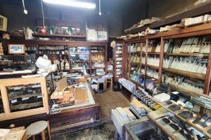 Find a Premier Woodworking Store in Denver, CO Today! | Step-by-Step Guides, Tools & Inspiration to Build Beautiful Wooden Decor on a Budget