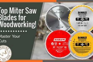 Best Miter Saw Blade for Fine Woodworking: Ultimate Guide Step-by-Step Guides, Tools & Inspiration to Build Beautiful Wooden Decor on a Budget Best Miter Saw Blade for Fine Woodworking: Ultimate Guide | Step-by-Step Guides, Tools & Inspiration to Build Beautiful Wooden Decor on a Budget