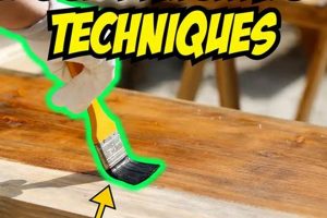 Pro Finish: Expert Finishing Woodworking Projects Tips & Tricks | Step-by-Step Guides, Tools & Inspiration to Build Beautiful Wooden Decor on a Budget