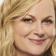 Crafting with Amy: Poehler Woodworking Show Premiere | Step-by-Step Guides, Tools & Inspiration to Build Beautiful Wooden Decor on a Budget