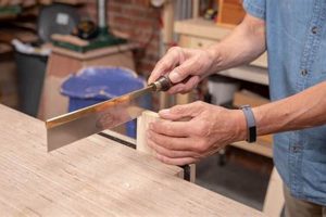 Best Saw for Beginner Woodworker: A Starter Guide | Step-by-Step Guides, Tools & Inspiration to Build Beautiful Wooden Decor on a Budget