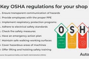 Wood Shop Safety: OSHA Regulations &amp; Compliance Tips | Step-by-Step Guides, Tools & Inspiration to Build Beautiful Wooden Decor on a Budget