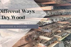 DIY: How to Dry Wood for Woodworking Projects, Fast! | Step-by-Step Guides, Tools & Inspiration to Build Beautiful Wooden Decor on a Budget