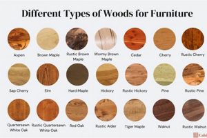 Woodworking Wonders: Types of Wood for Every Project Guide | Step-by-Step Guides, Tools & Inspiration to Build Beautiful Wooden Decor on a Budget