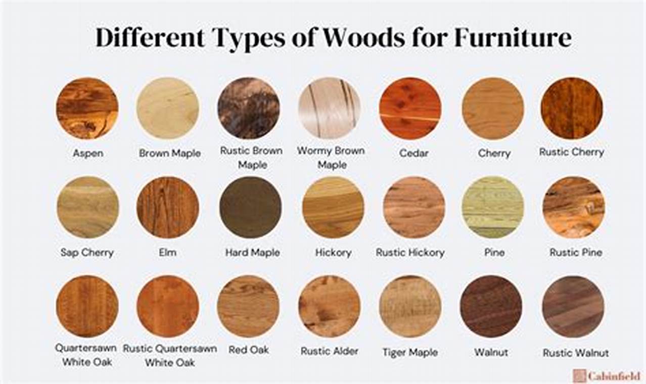 Woodworking Wonders: Types of Wood for Every Project Guide | Step-by-Step Guides, Tools & Inspiration to Build Beautiful Wooden Decor on a Budget