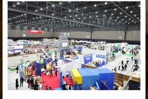 Guide to Woodworking Machinery Industry Association + Trends | Step-by-Step Guides, Tools & Inspiration to Build Beautiful Wooden Decor on a Budget