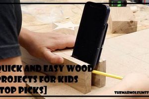 Fun Youth Woodworking Projects: Beginner Builds | Step-by-Step Guides, Tools & Inspiration to Build Beautiful Wooden Decor on a Budget