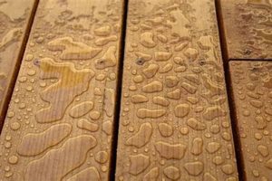 Green Woodworking: Tips & Techniques For Wet Wood Projects Step-by-Step Guides, Tools & Inspiration to Build Beautiful Wooden Decor on a Budget Green Woodworking: Tips & Techniques For Wet Wood Projects | Step-by-Step Guides, Tools & Inspiration to Build Beautiful Wooden Decor on a Budget