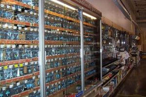 Find Local: Woodworking Stores Portland Oregon Guide | Step-by-Step Guides, Tools & Inspiration to Build Beautiful Wooden Decor on a Budget