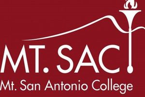 Learn Woodworking: Mt. SAC Class & Projects! | Step-by-Step Guides, Tools & Inspiration to Build Beautiful Wooden Decor on a Budget