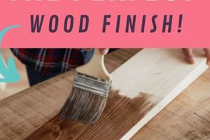 Wood Project Perfection: How to Finish Woodworking Projects FAST | Step-by-Step Guides, Tools & Inspiration to Build Beautiful Wooden Decor on a Budget