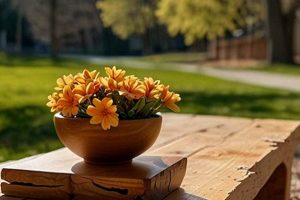 DIY Spring Woodworking Projects: Ideas & Plans | Step-by-Step Guides, Tools & Inspiration to Build Beautiful Wooden Decor on a Budget