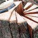 Premium Oak Tree Woodworking Supplies | Shop Now! | Step-by-Step Guides, Tools & Inspiration to Build Beautiful Wooden Decor on a Budget