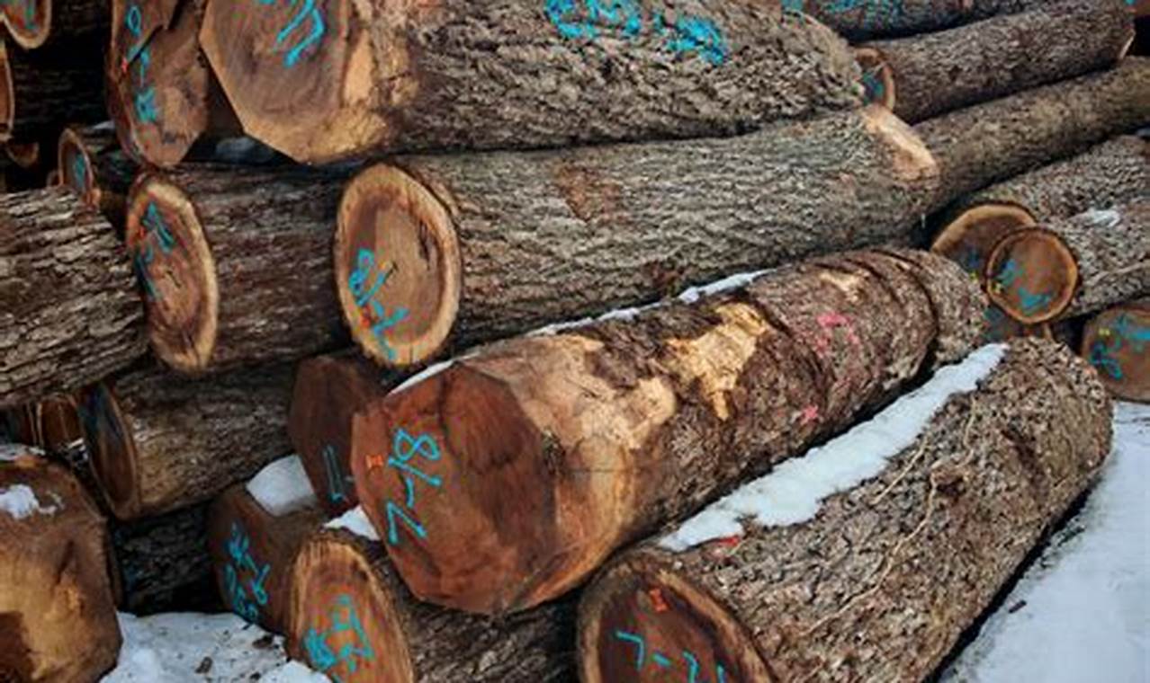 Find & Buy: Nice Wood for Woodworking Projects Near You! | Step-by-Step Guides, Tools & Inspiration to Build Beautiful Wooden Decor on a Budget