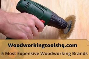 Top Tier: Most Expensive Woodworking Tools Reviewed (2024) | Step-by-Step Guides, Tools & Inspiration to Build Beautiful Wooden Decor on a Budget