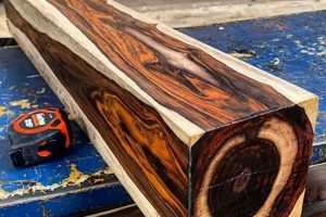 Unlocking Exotic Wood for Woodworking: A Guide | Step-by-Step Guides, Tools & Inspiration to Build Beautiful Wooden Decor on a Budget