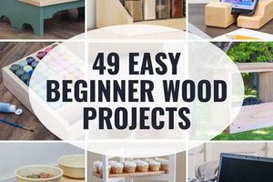 Beginner's Woodworking 101 Projects: Easy DIY Plans Step-by-Step Guides, Tools & Inspiration to Build Beautiful Wooden Decor on a Budget Beginner's Woodworking 101 Projects: Easy DIY Plans | Step-by-Step Guides, Tools & Inspiration to Build Beautiful Wooden Decor on a Budget